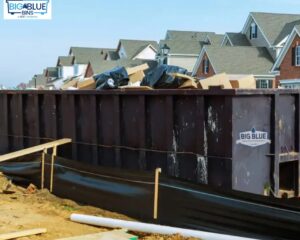 today-blog-1-image-big-blue-bins