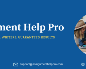 Assignment-help-pro