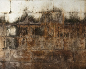 Image-1-1