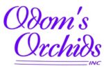 Logo-3