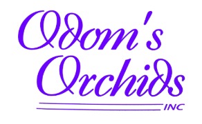 Logo-3
