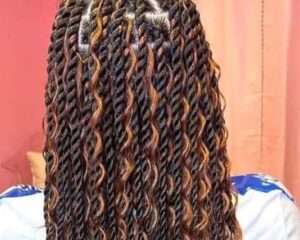 a68a3578e38049a4b6b26ad64c5e87-majestic-african-braiding-biz-photo-df358cfb675749aa9fb79f106ebe6d-booksy-1
